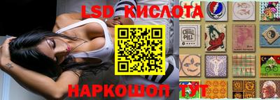 ПСИЛОЦИБИНОВЫЕ ГРИБЫ Камышлов